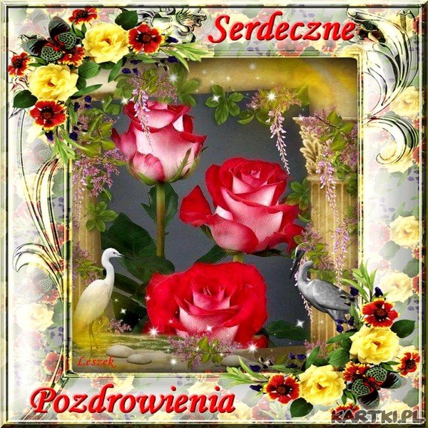 Serdeczne Pozdrowienia