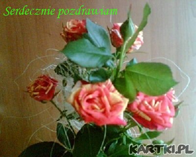 Serdeczne pozdrowienia