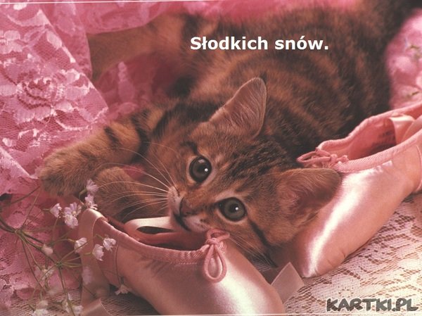 Słodkich snów.