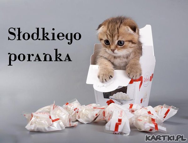 Słodkiego poranka
