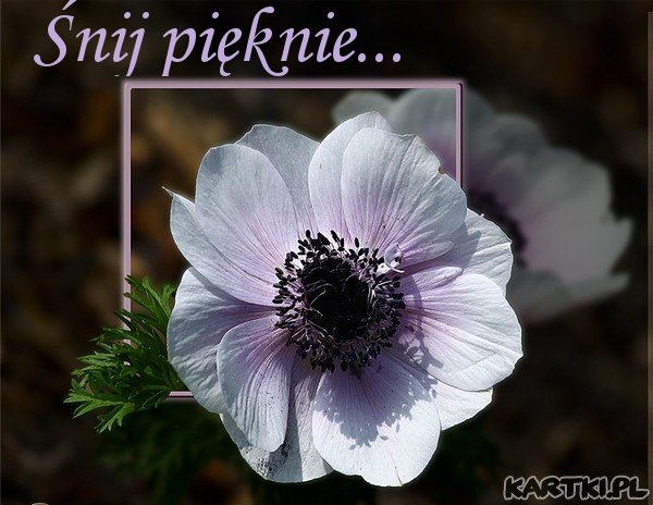 Śnij pięknie...Dobranoc