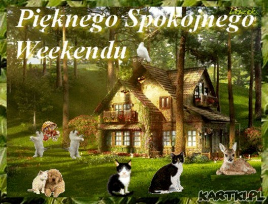 Spokojnego i udanego weekendu :)