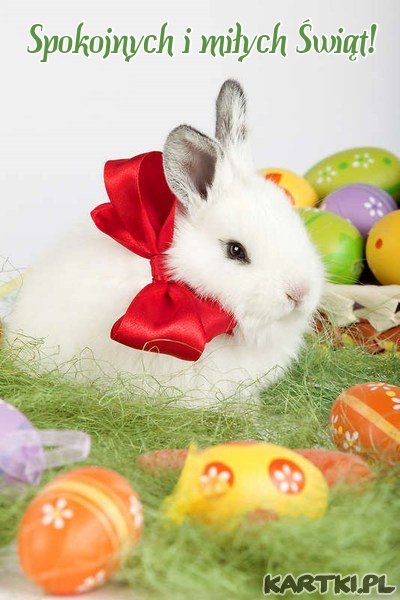 Spokojnych i miłych Świąt!