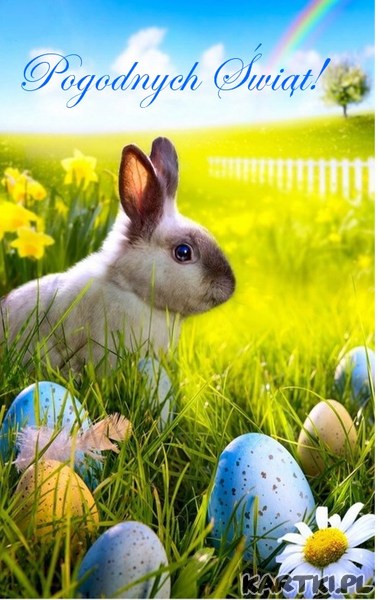 Świąt pogodnych i miłych, wielu radosnych chwil szczęśliwych !