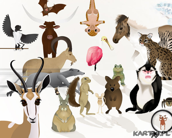 Światowy Dzień Zwierząt