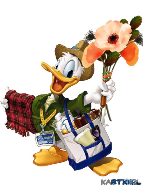 SZCZESLIWEGO NOWEGO ROKU 2011