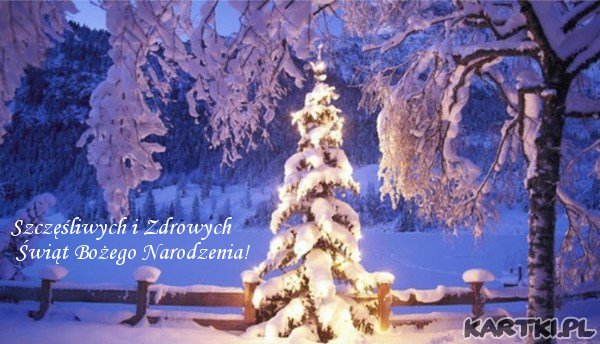 Szczęśliwych i Zdrowych Świąt Bożego Narodzenia!