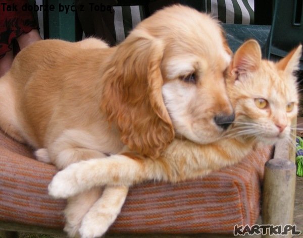 Tak dobrze mi z Tobą