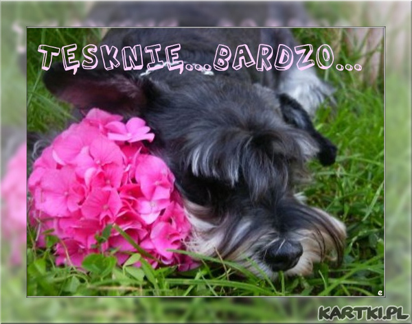 Tęsknię...bardzo.