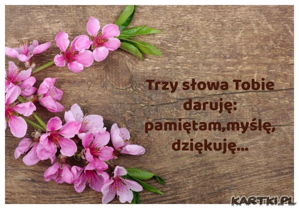 Trzy słowa Tobie daruję pamiętam,myślę,dziękuję...