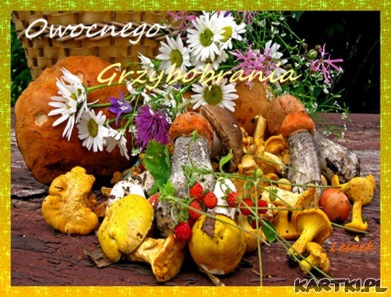 Udanego grzybobrania :)