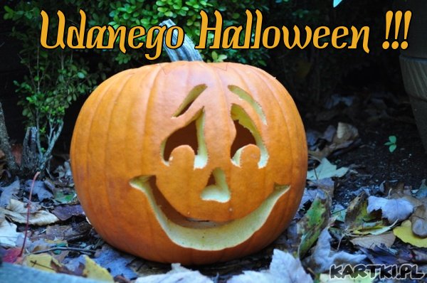 Udanego Halloween