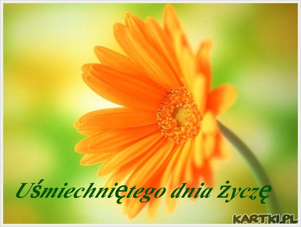 Uśmiechniętego dnia życzę.