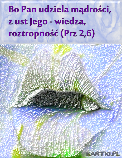 Usta Boga źródłem mądrości, wiedzy, roztropności