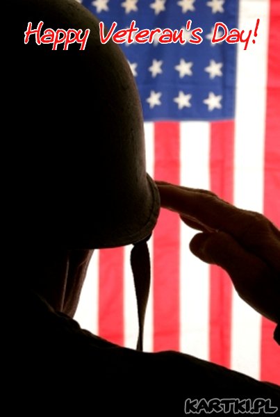 Veteran's Day (USA)
