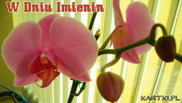 W Dniu Imienin