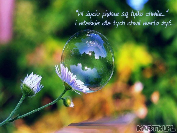 "W życiu piękne są tylko chwile..."i właśnie dla tych chwil warto żyć...