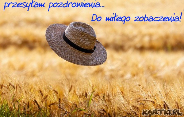 wakacyjne pozdrowienia