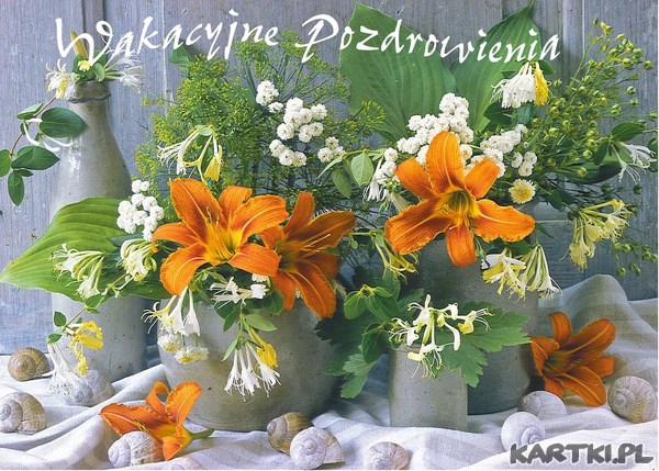 wakacyjne pozdrowienia przesyłam i życzę moc wakacyjnych radości...