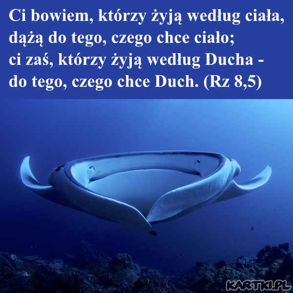 Według Ducha