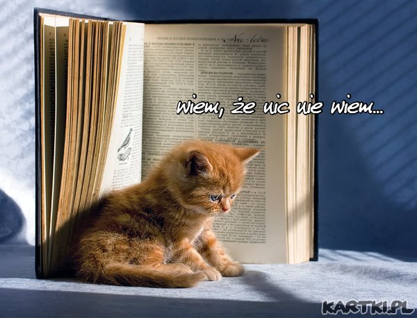 wiem,że nic nie wiem...