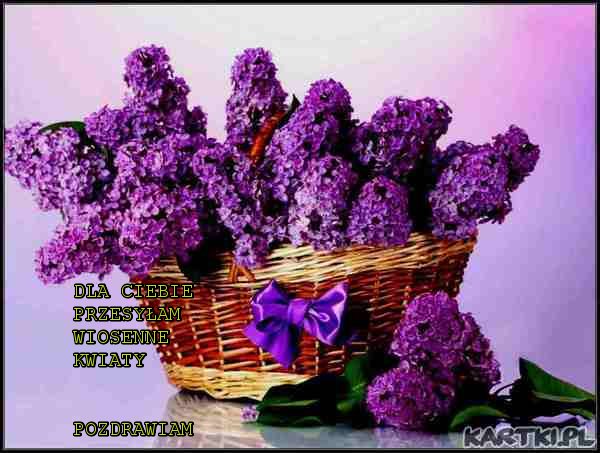 WIOSENNE POZDROWIENIA*