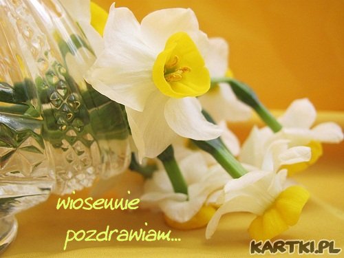 wiosennie pozdrawiam...