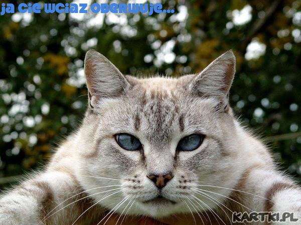 ♥witam cie kochanie...♥