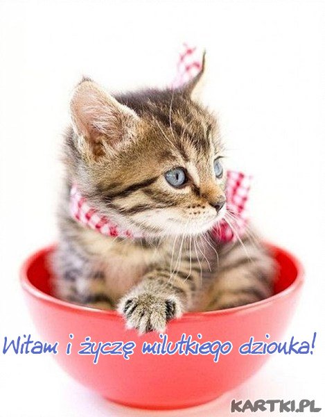 Witam i życzę milutkiego dzionka!