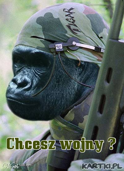 wojna