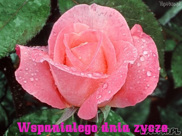 Wspanialego Poniedzialku :) 