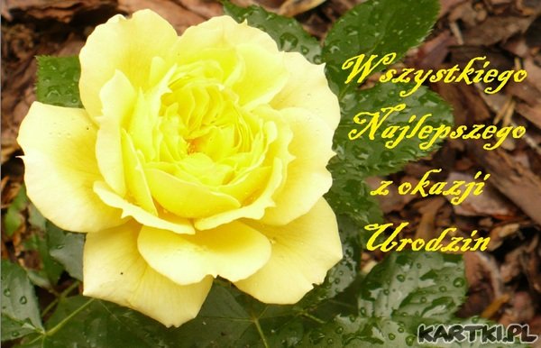 Wszystkiego najlepszego