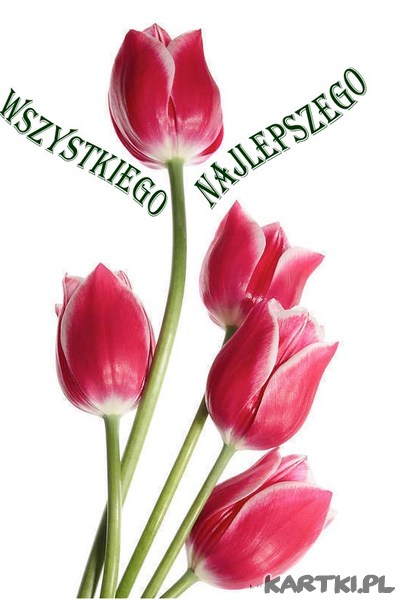 Wszystkiego Najlepszego!
