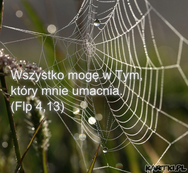 Wszystko mogę