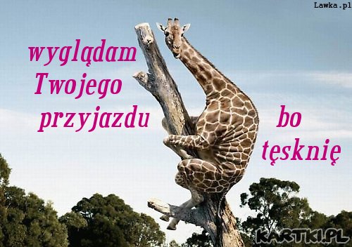 wyglądam Cię