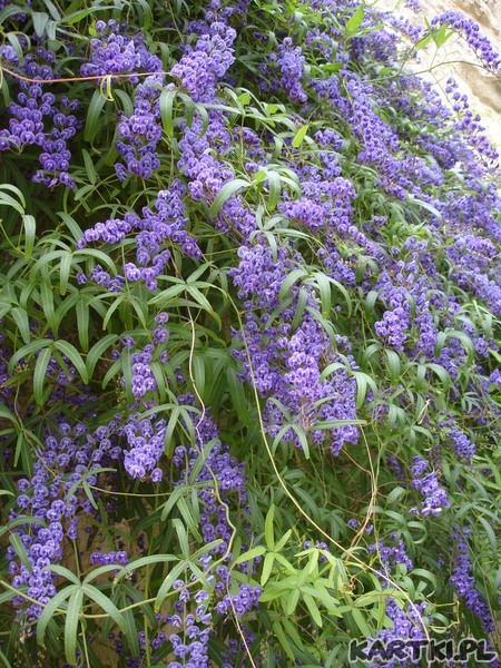 Z najlepszymi życzeniami