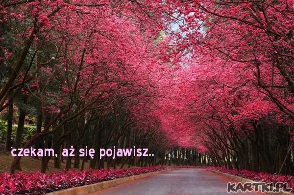 zabierz mnie ze sobą..