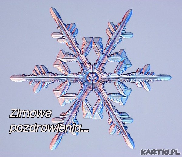 Zimowe pozdrowienia