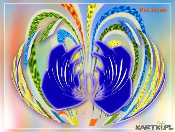 życzenia