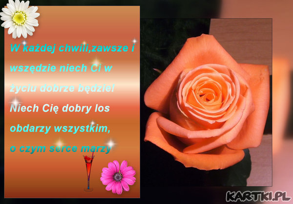 życzenia urodzinowe