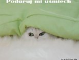 Bardzo mroźny poranek ... aż się nie chce wychodzić spod cieplutkiej kołderki. ... 