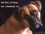 bardzo proszę ...nie odmawiaj mi...