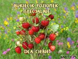 Bukiecik poziomek dla Ciebie