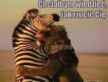 Chciałbym wiedzieć, jak rzucić się