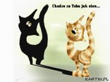 Chodze za Toba jak cien...