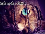 Ciągle myślę o Tobie