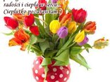 CUDOWNEJ NIEDZIELI*