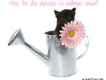 Cześć to Ja, życzę Ci miłego dnia!