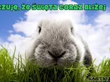 Czuję, że święta coraz bliżej 