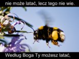 Czy wiesz, że możesz latać jeśli chcesz?